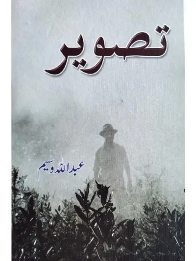 Tasveer Urdu Book By Abdullah Waseem